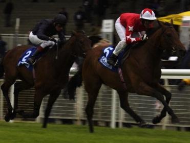 Racing comes from Limerick on Friday